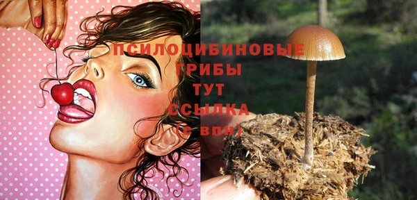 MESCALINE Аркадак