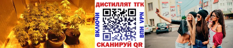 ТГК жижа  сколько стоит  Любань 