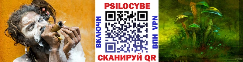 Псилоцибиновые грибы Psilocybine cubensis  Любань 